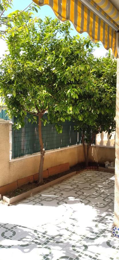 טורבייחה Apartement A La Mata מראה חיצוני תמונה